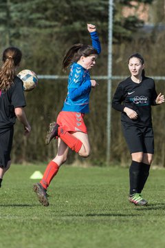 Bild 283 - C-Juniorinnen SV Steinhorst/Labenz - TSV Friedrichsberg-Busdorf : Ergebnis: 5:0